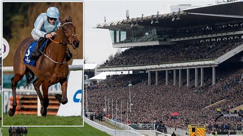 cheltenham champion hurdle betting|2022 Champion Hurdle Odds, Entries and Runners.